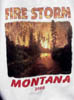Fire Storm